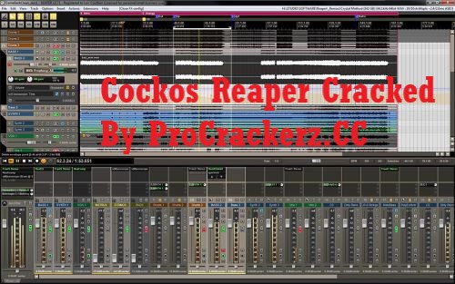 Cockos Reaper Cracked License Key 2024